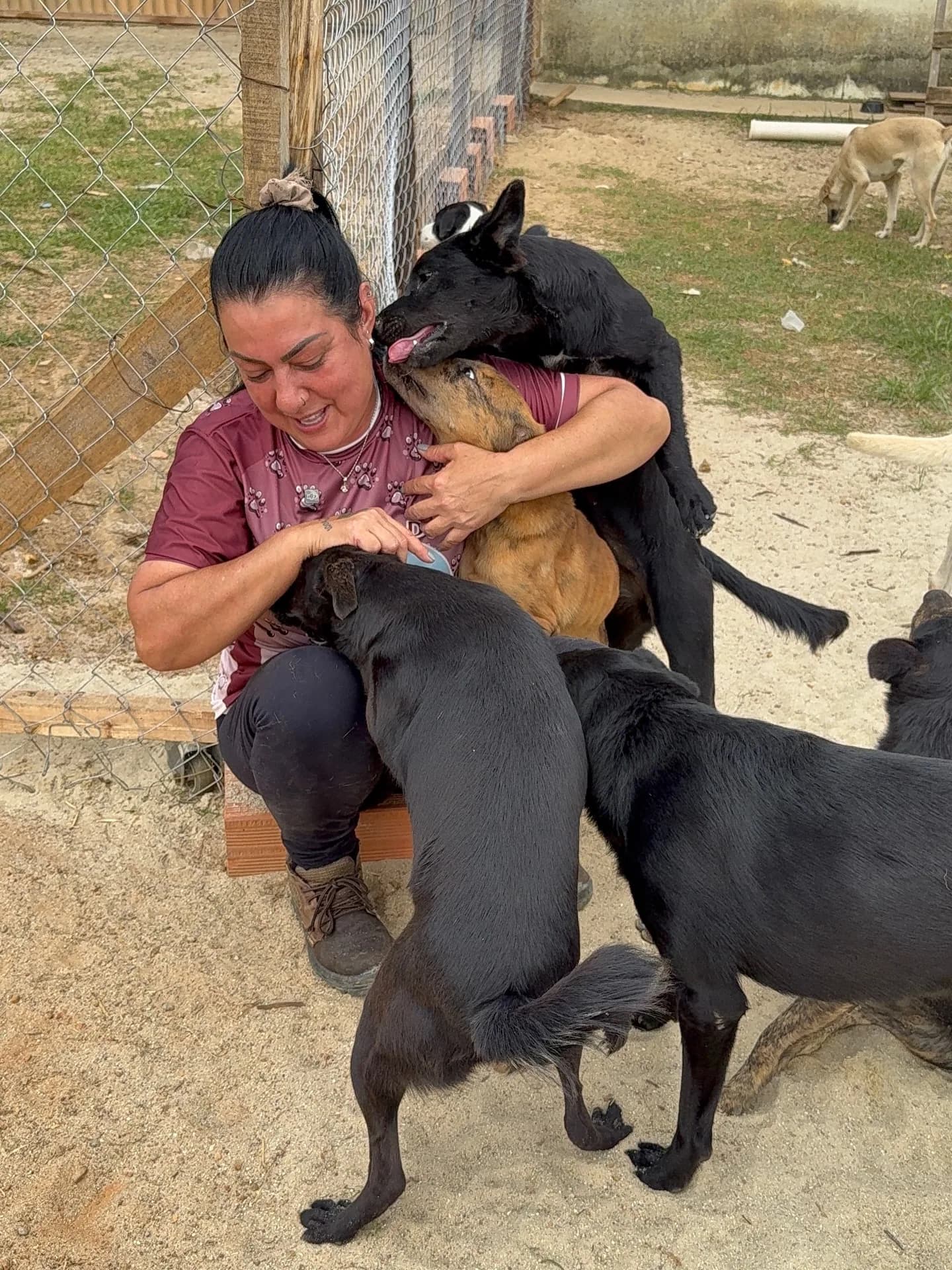Refúgio da Tia Ré — 160 vidas dependem da sua decisão - Photo 1